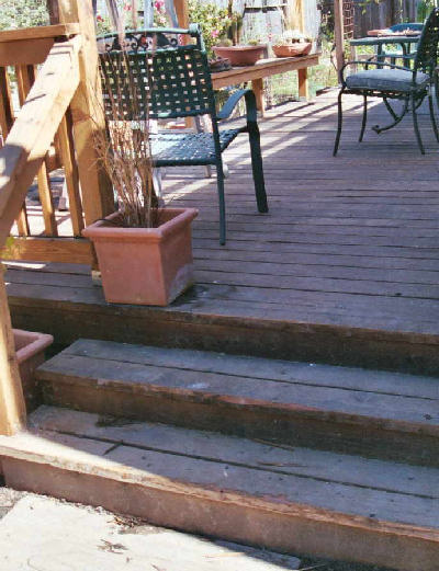 The deck steps Buddy climbed